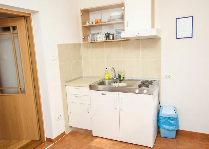 公寓 乌切维奇公寓 *