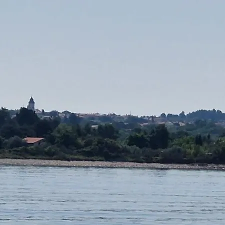 Vuceric *