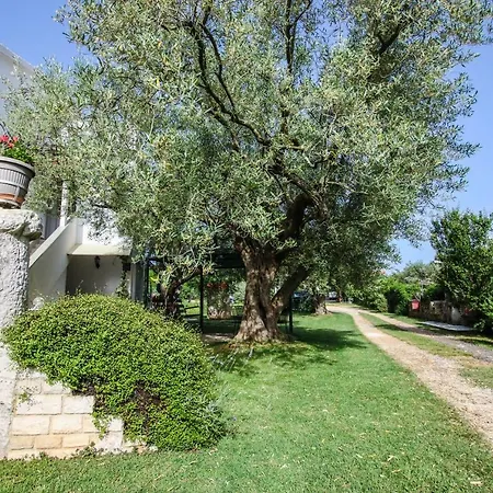 Vuceric Апартаменты Перой