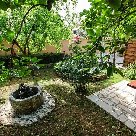 Vuceric Апартаменты *