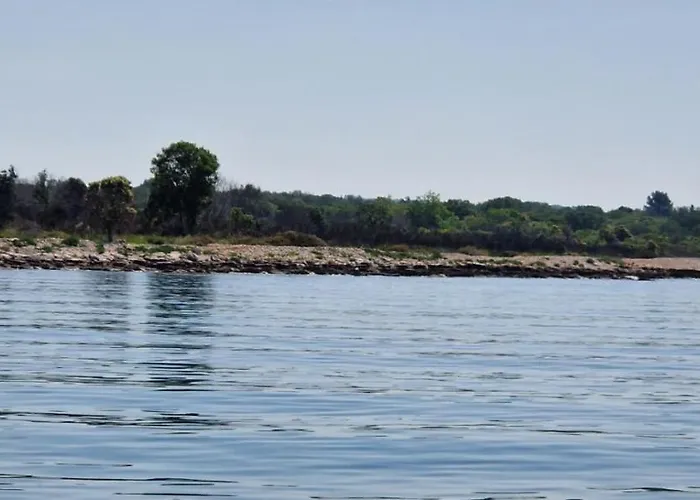 Vuceric 아파트 페로이