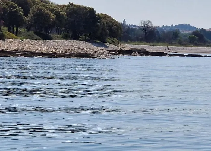 아파트 Vuceric 페로이