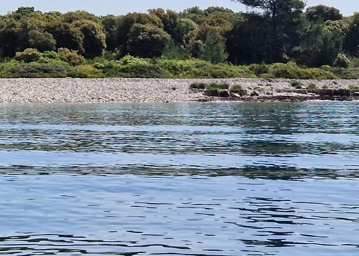 Vuceric 아파트 페로이