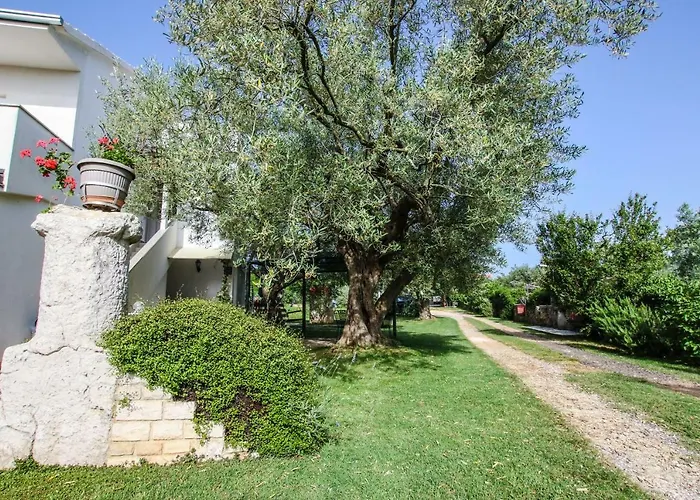 Vuceric 아파트 페로이